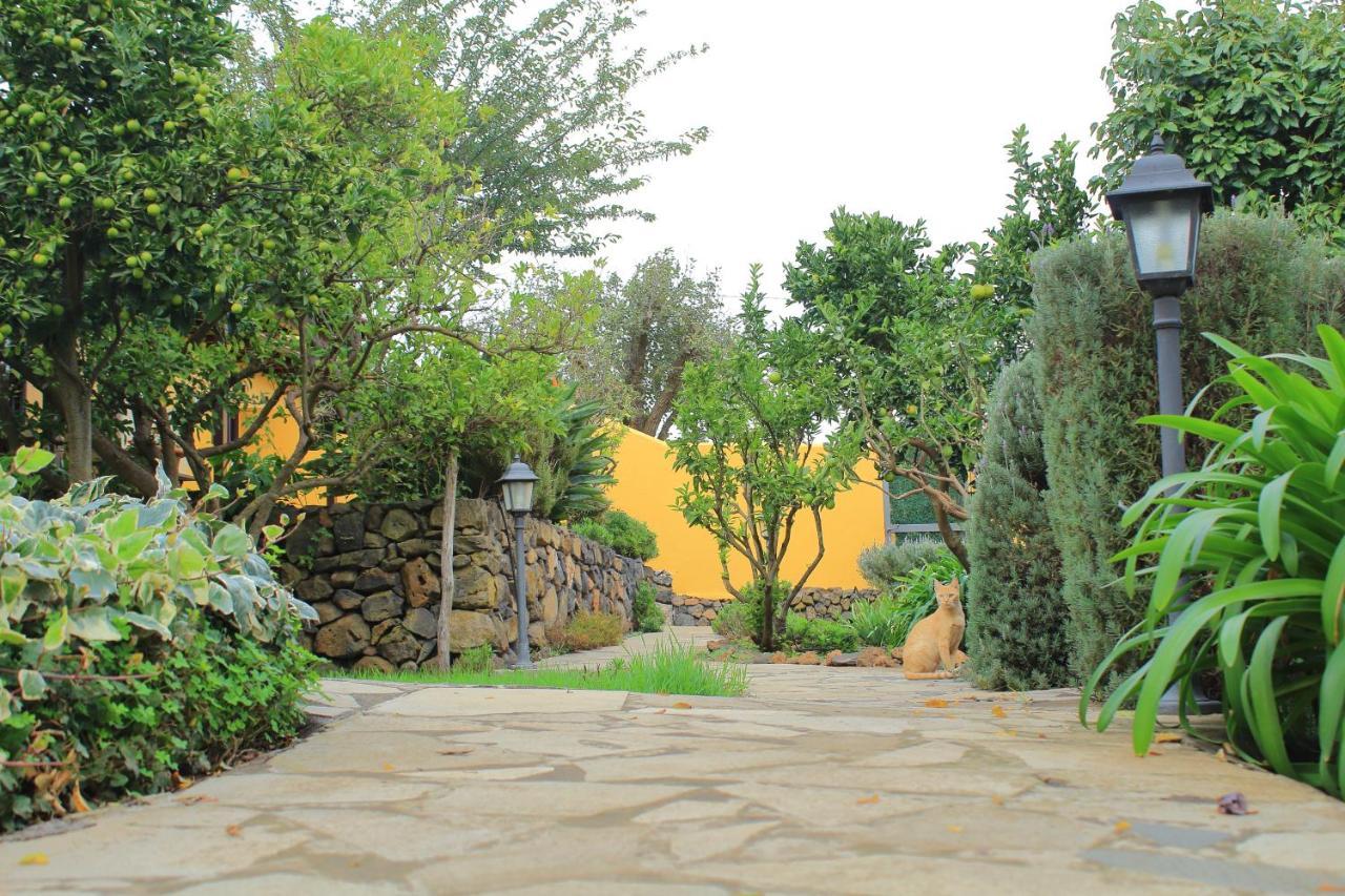 Finca La Majadera El Rosario  Exteriér fotografie